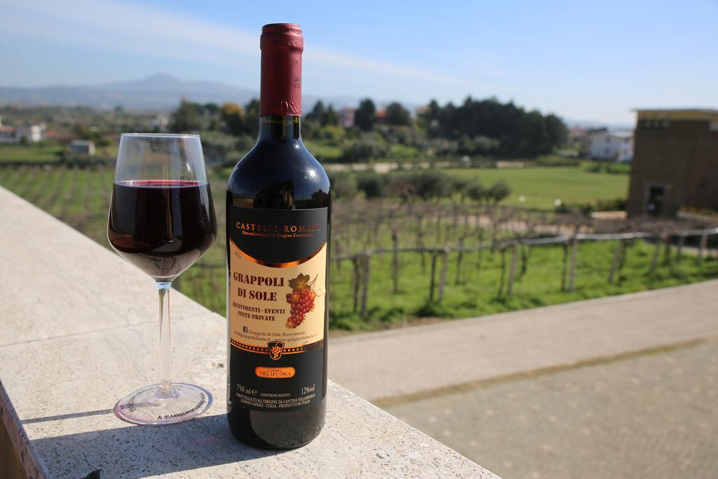 Grappoli Di Sole Alloggio per agriturismo *