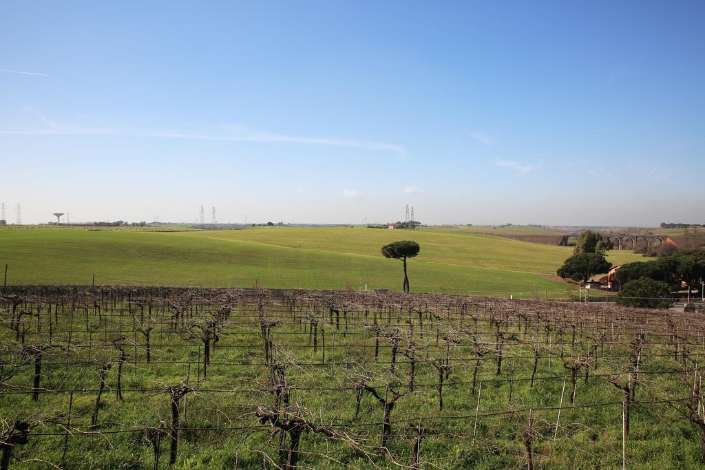 Bauernhof Grappoli Di Sole *